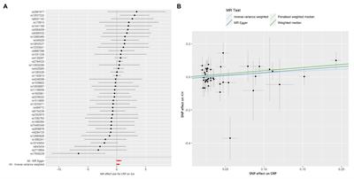 The Role of C-Reactive Protein and Fibrinogen in the Development of Intracerebral Hemorrhage: A Mendelian Randomization Study in European Population